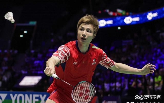 关于丹麦队横扫印尼队，石宇奇高光表现的信息