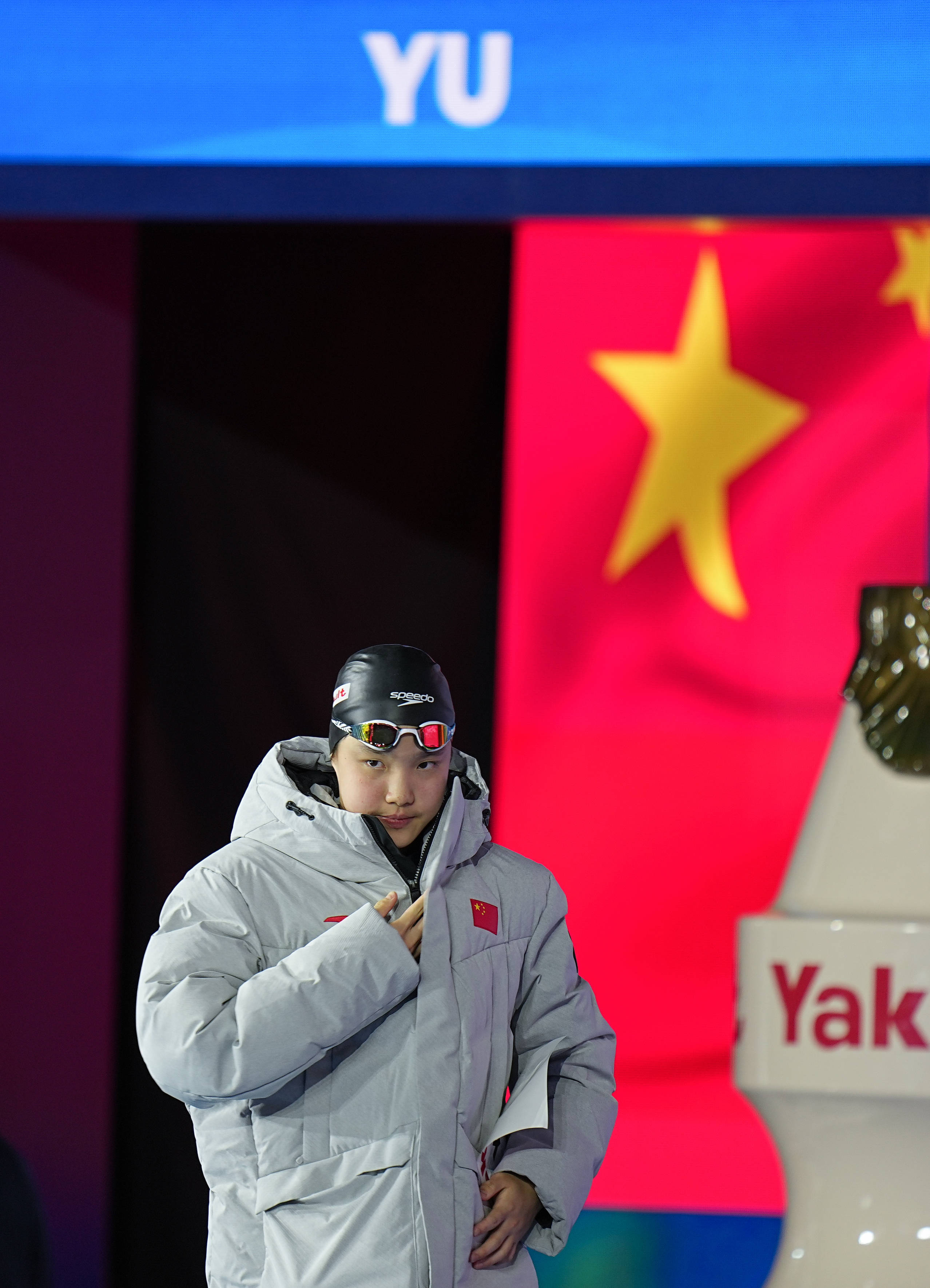 世界赛舞台，游泳代表国家出征荣耀的简单介绍