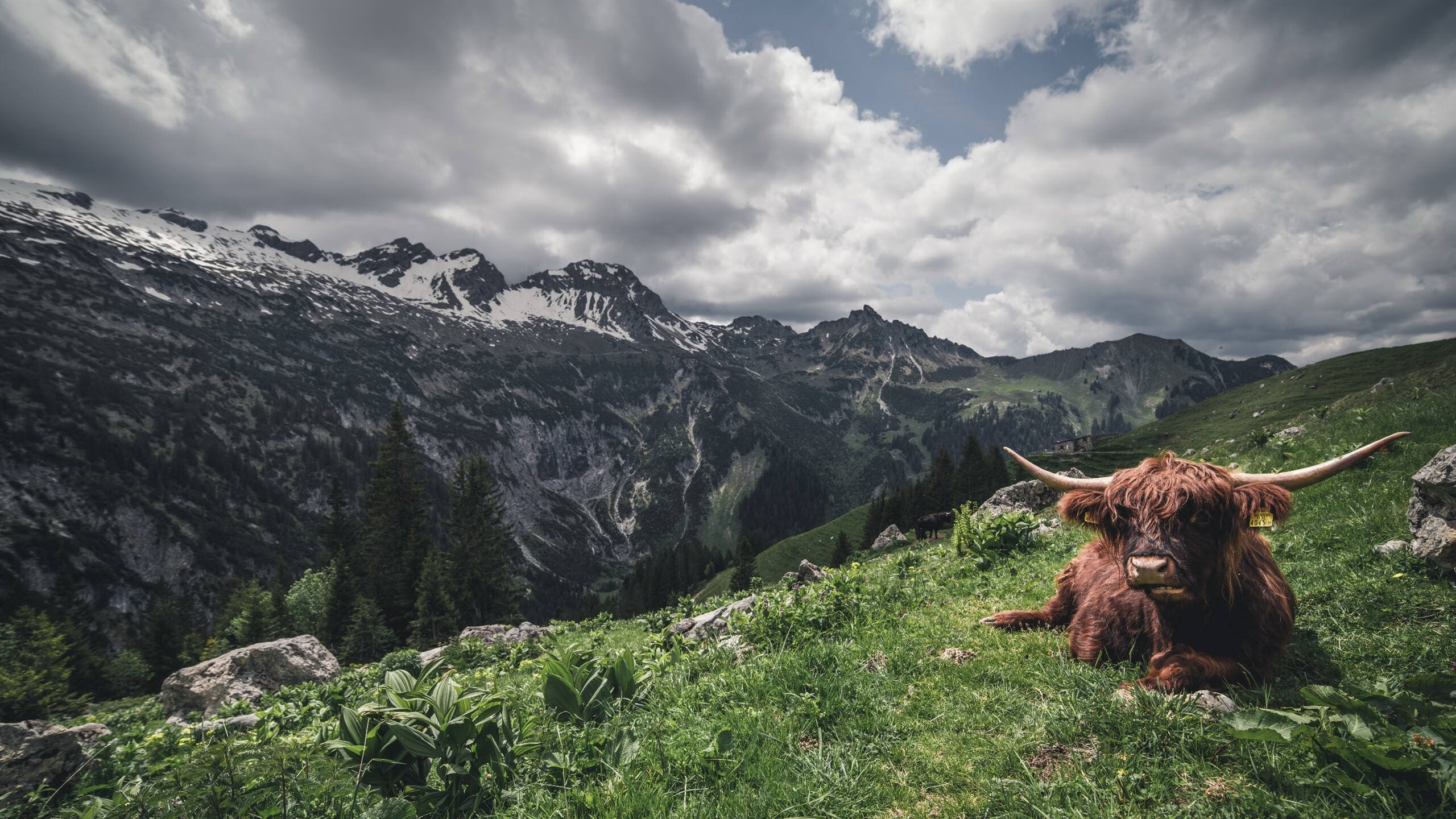 逆转夜，星光独为一人璀璨