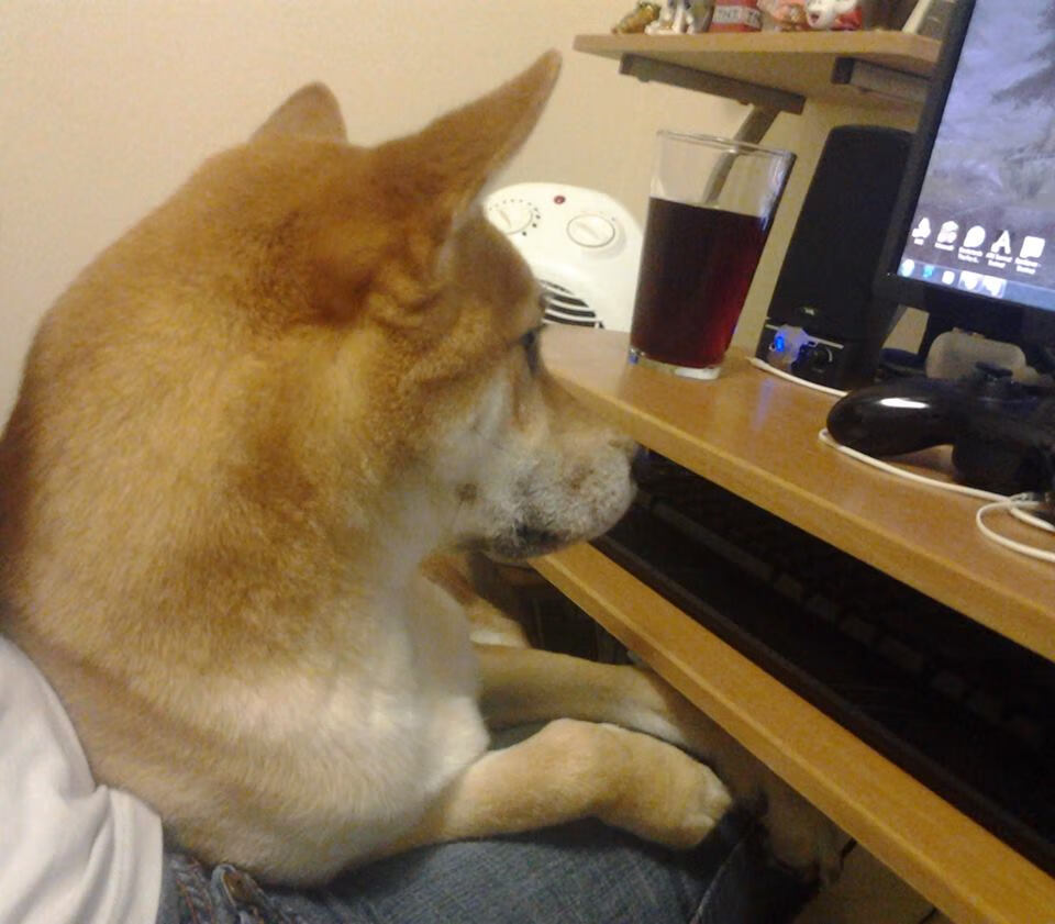 翻译胜利,马琳如何让韩国队听懂完胜的西班牙语