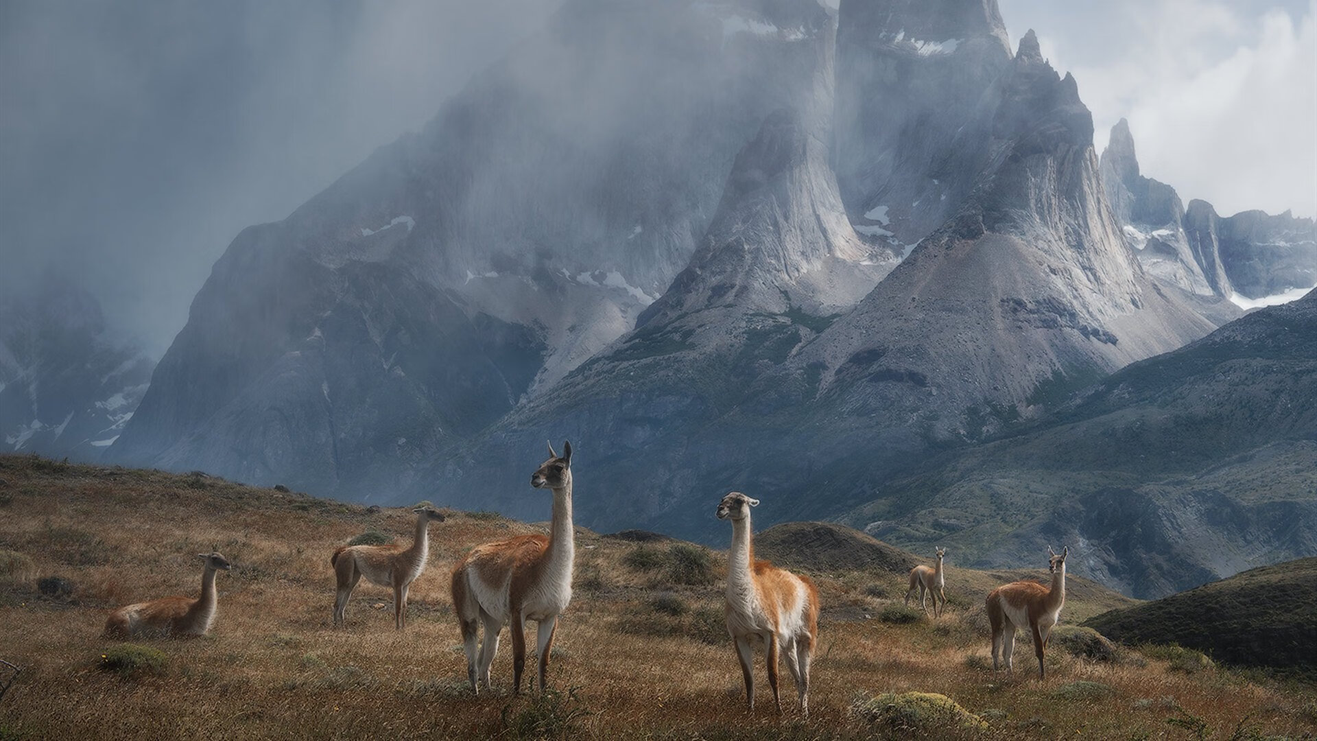 帝国的足球印记，努涅斯终结悬念，巴西制霸委内瑞拉