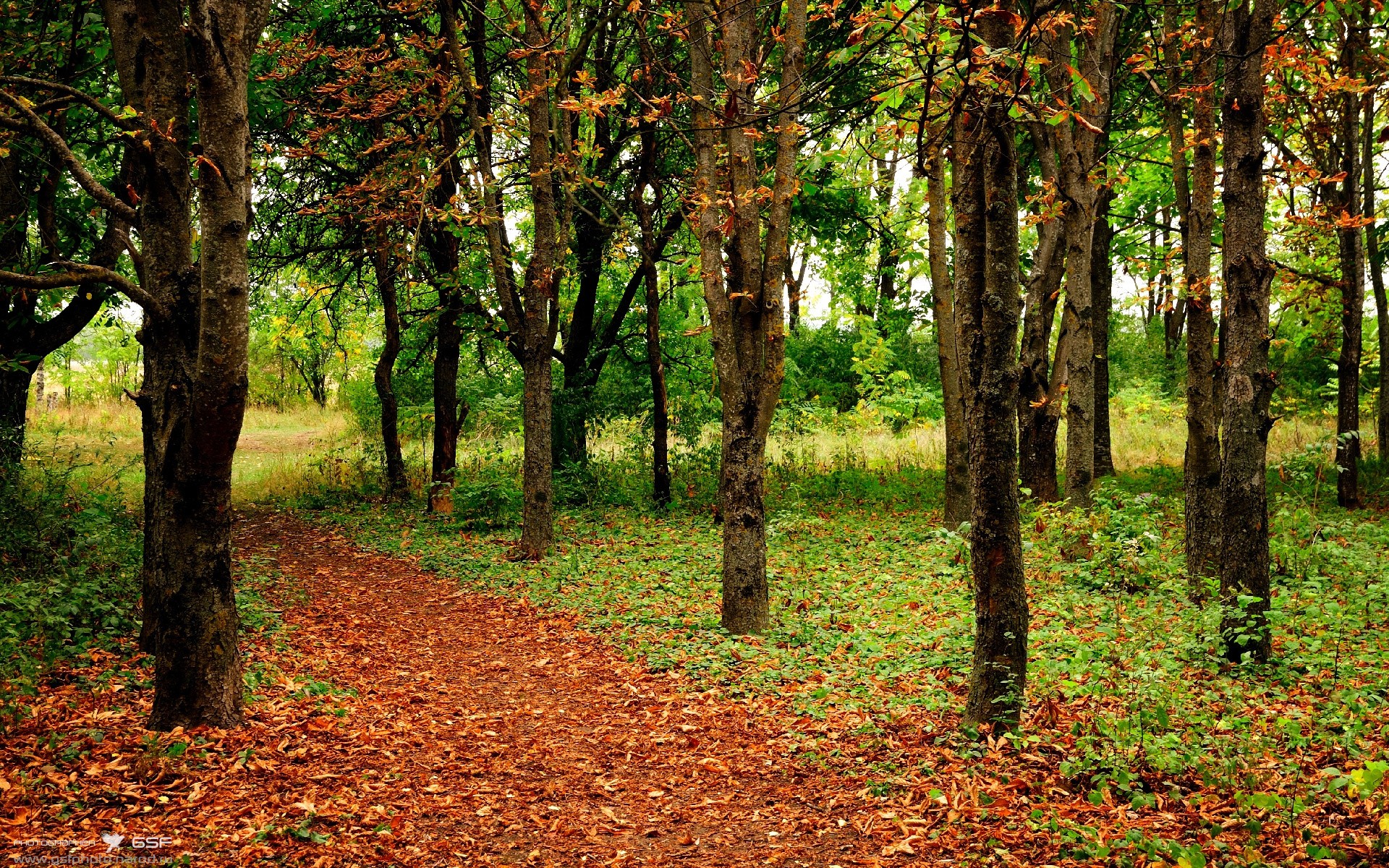 卡拉斯科的节奏魔法，当马竞利刃切开阿根廷高原魔咒
