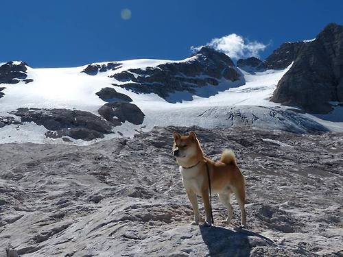 星耀圣保罗，基耶萨一锤定音，那不勒斯铁蹄无情碾碎勒沃库森