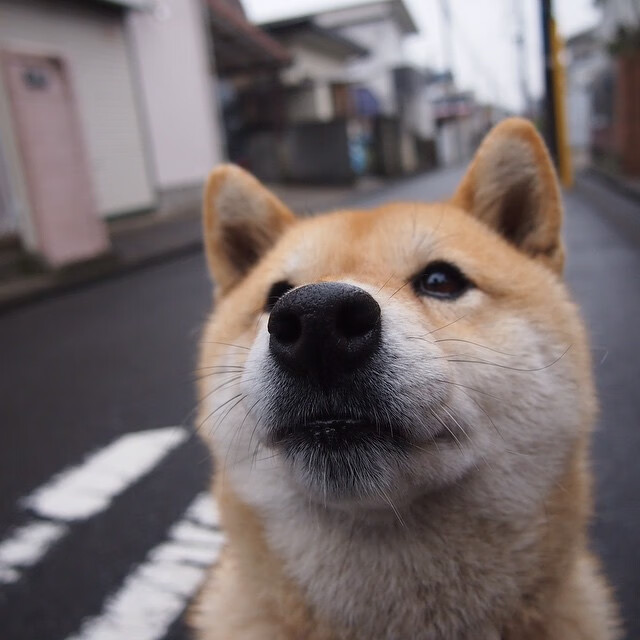 齿轮与星辰，当哥斯达黎加推开巴拉圭，基米希在决赛夜照亮凡人之光