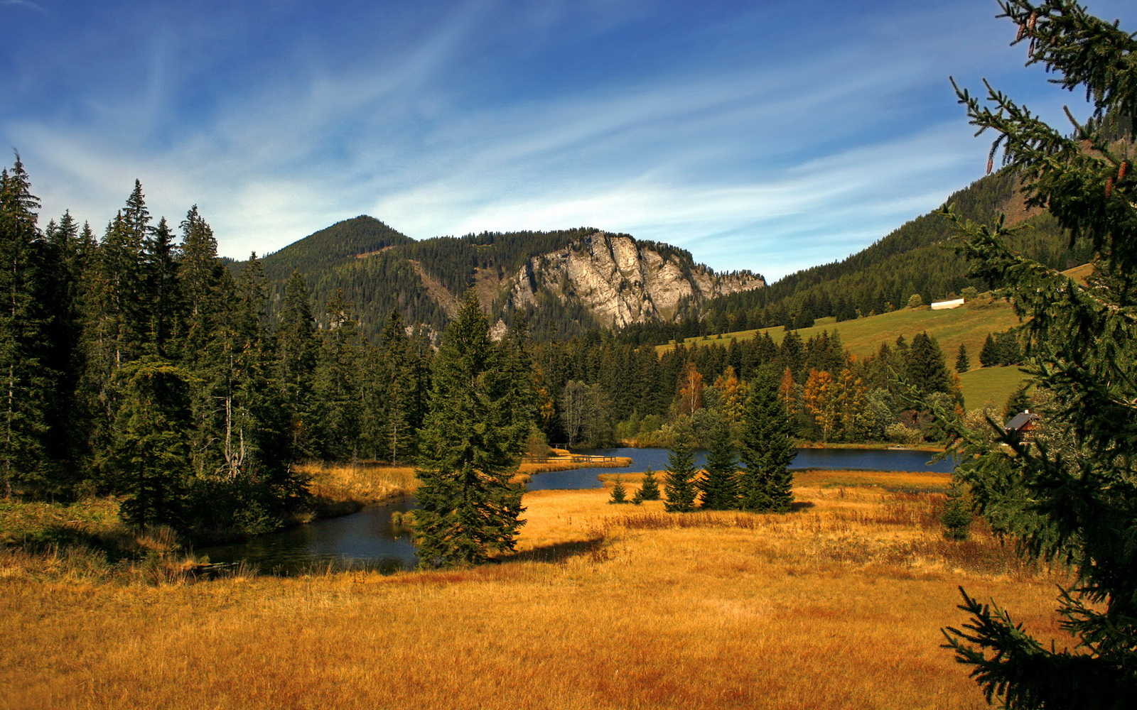 爱游戏tv-冰封高原！莫兰特44分压制级发挥，灰熊冲垮掘金主场