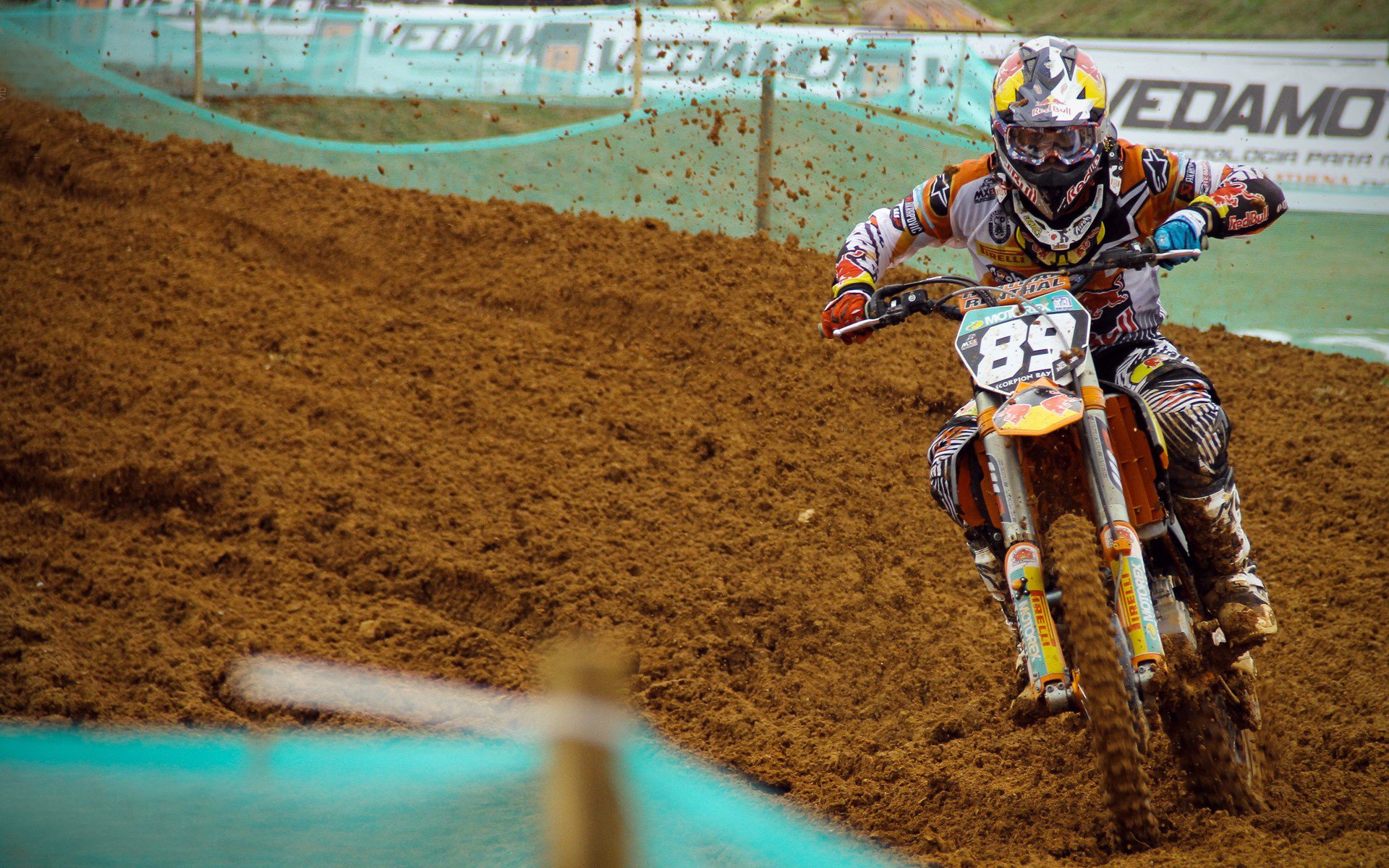 狐影燎原,当金色洪流淹没南海岸