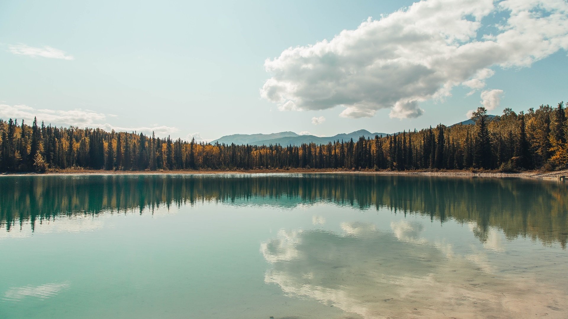 破盾者的诗篇,猛龙如何从戈贝尔的统治领域突围