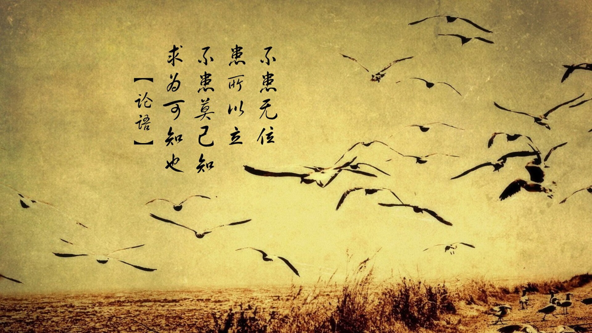 破盾者的诗篇,猛龙如何从戈贝尔的统治领域突围