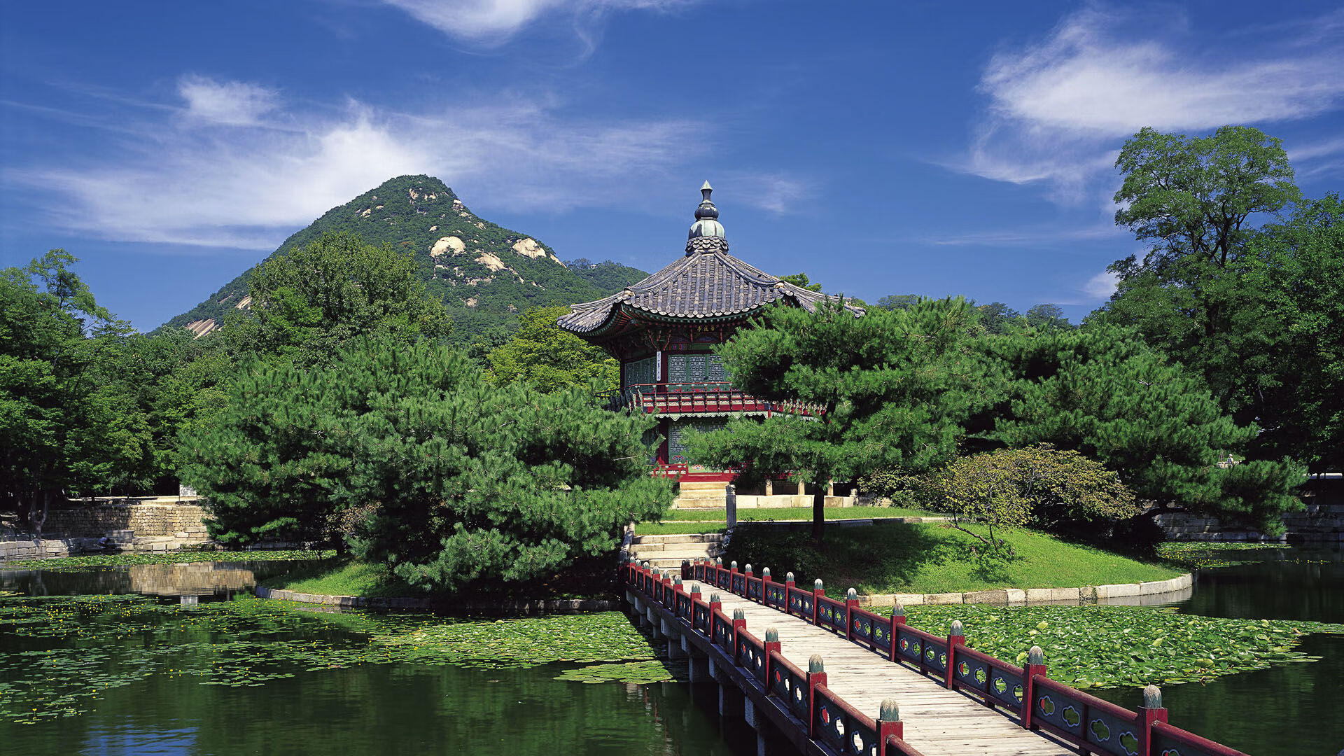 孤星与鹰群,莱万折射巨星光芒,阿尔及利亚团队之力冲破铁壁