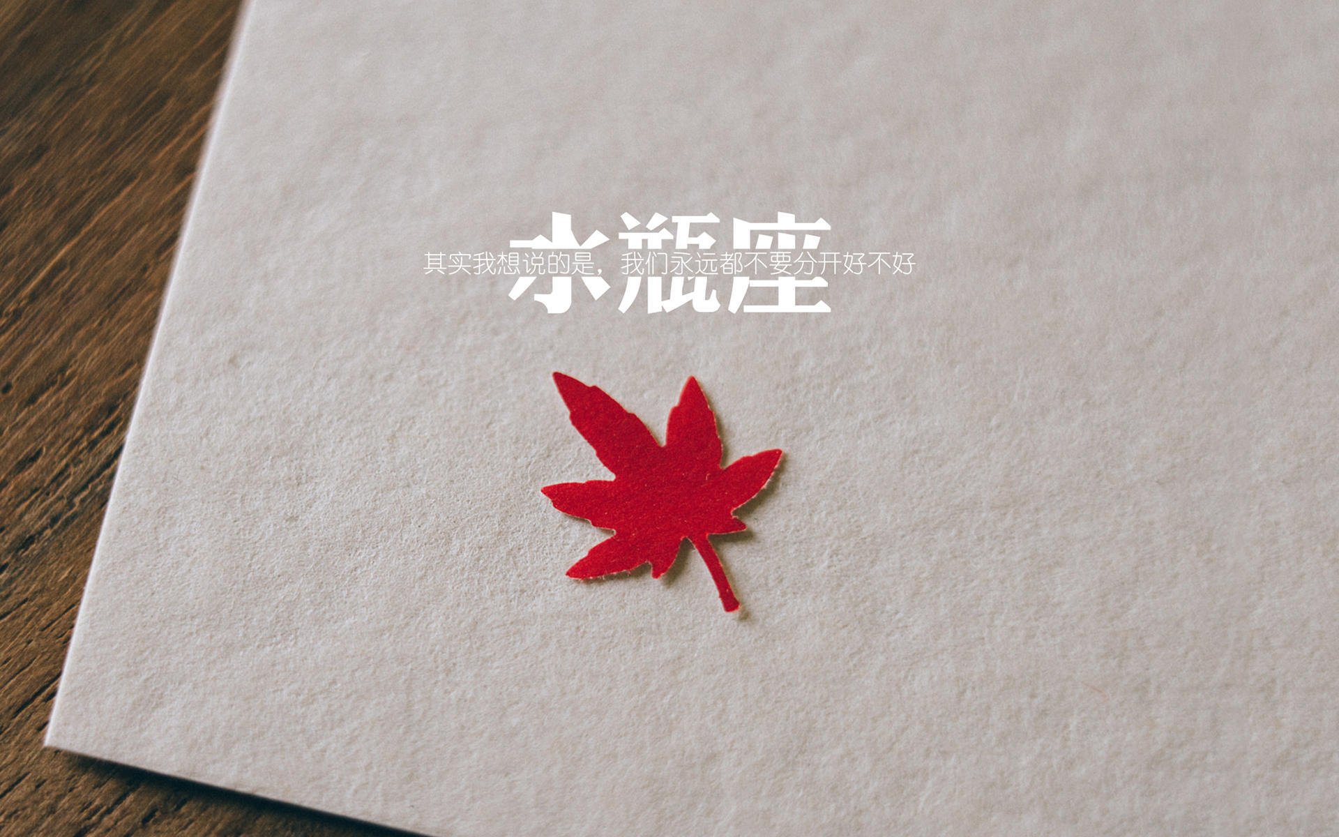 双线激战,魔术班凯罗助辽宁压哨燃动沈城