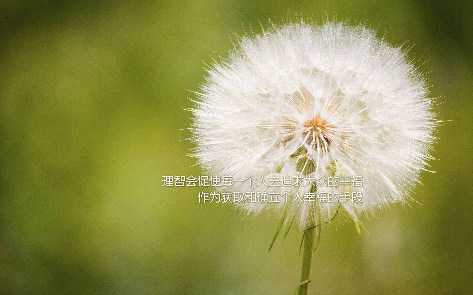 宿命的回响，2026世界杯E组，波兰压制葡萄牙，久保建英完成致命一击