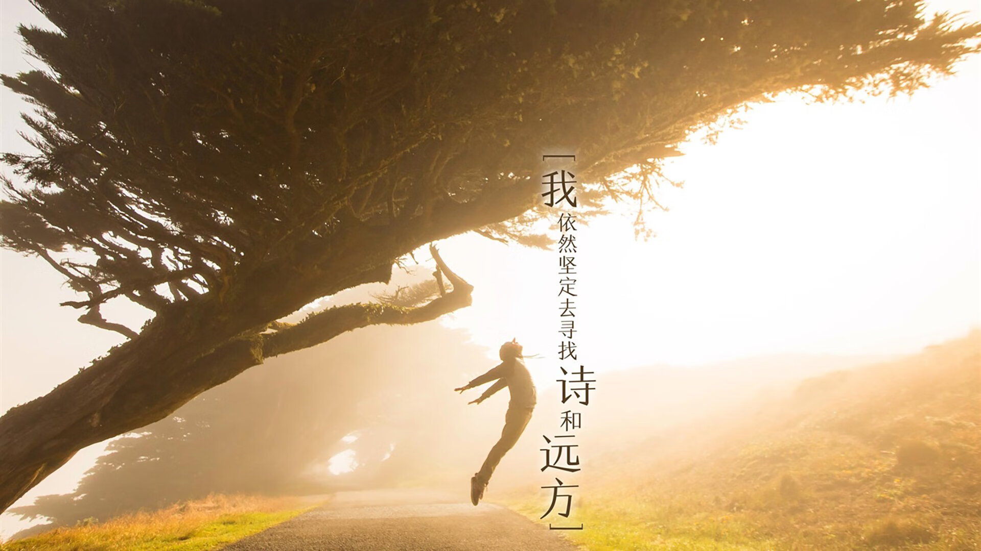 郁金香绽放中的黑色闪电，卢卡库压哨绝杀，荷兰大胜厄瓜多尔的D组史诗之夜