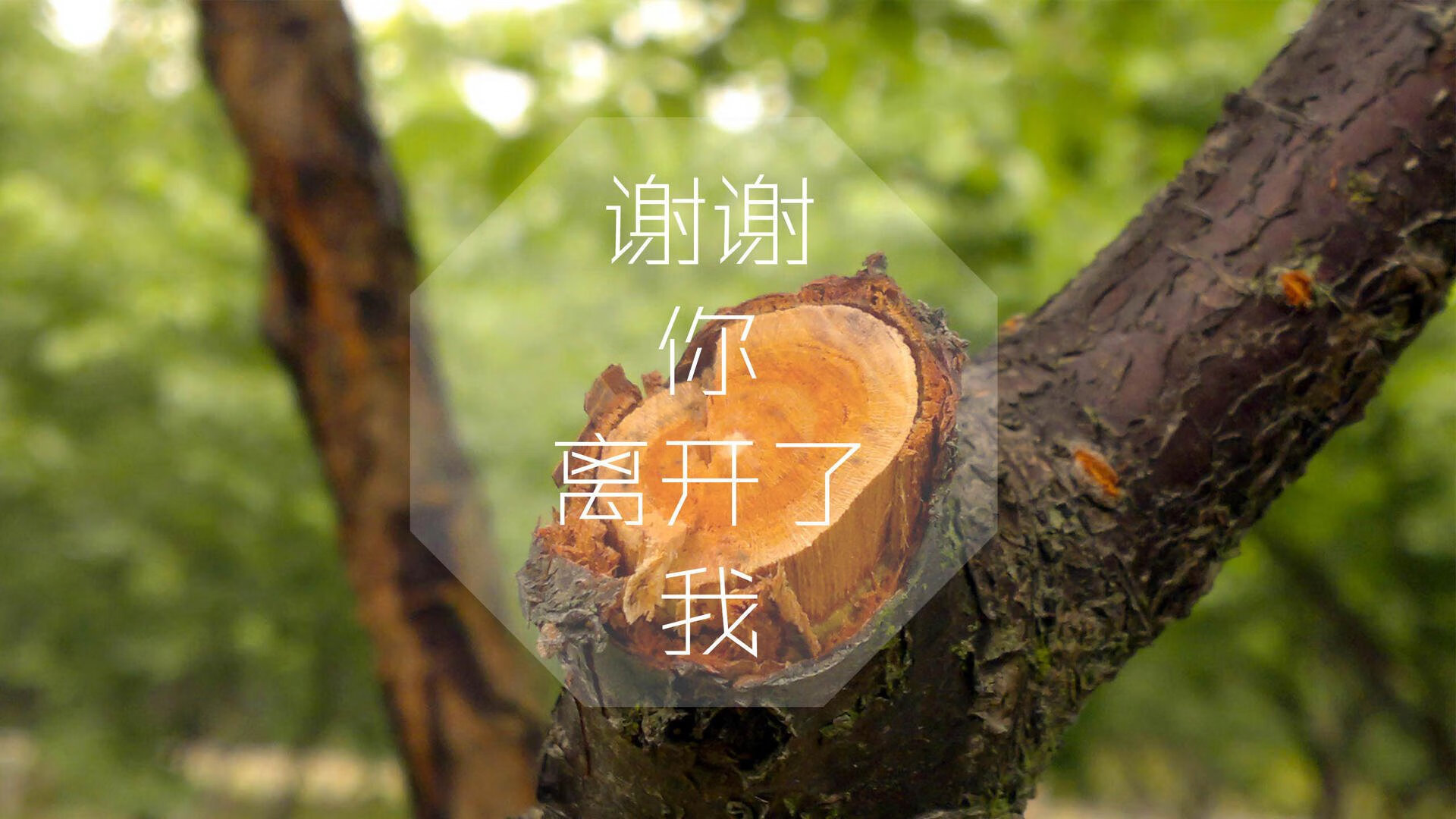 冷门之夜，2026世界杯F组泰国力克冰岛，奥斯梅恩闪耀全场成唯一焦点