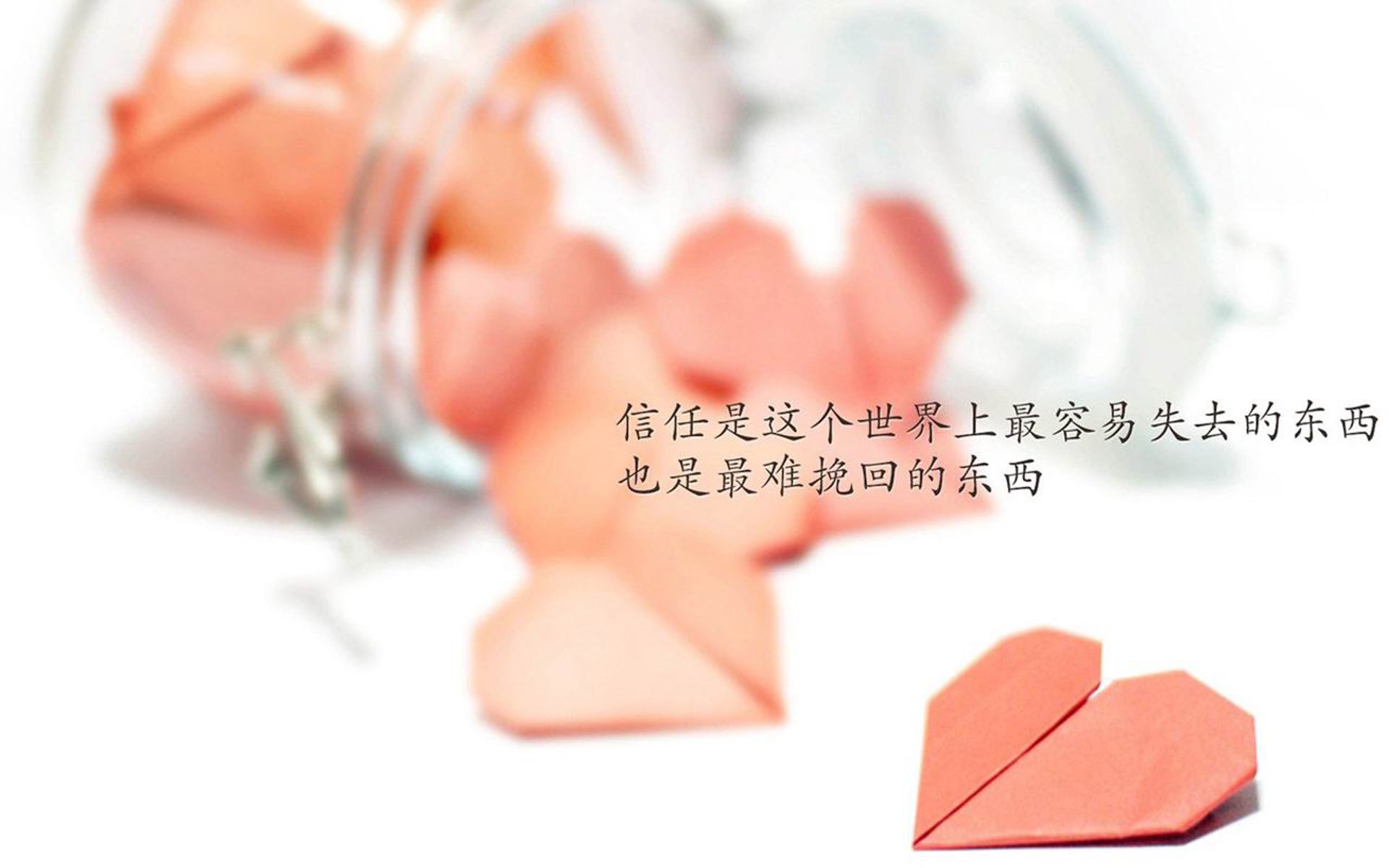 布罗佐维奇光芒四射，罗马尼亚在2026世界杯A组首战完胜印度，演绎唯一的足球浪漫
