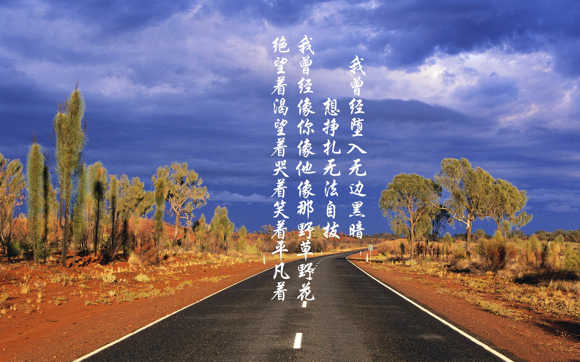 (三选一,由你决定风格)