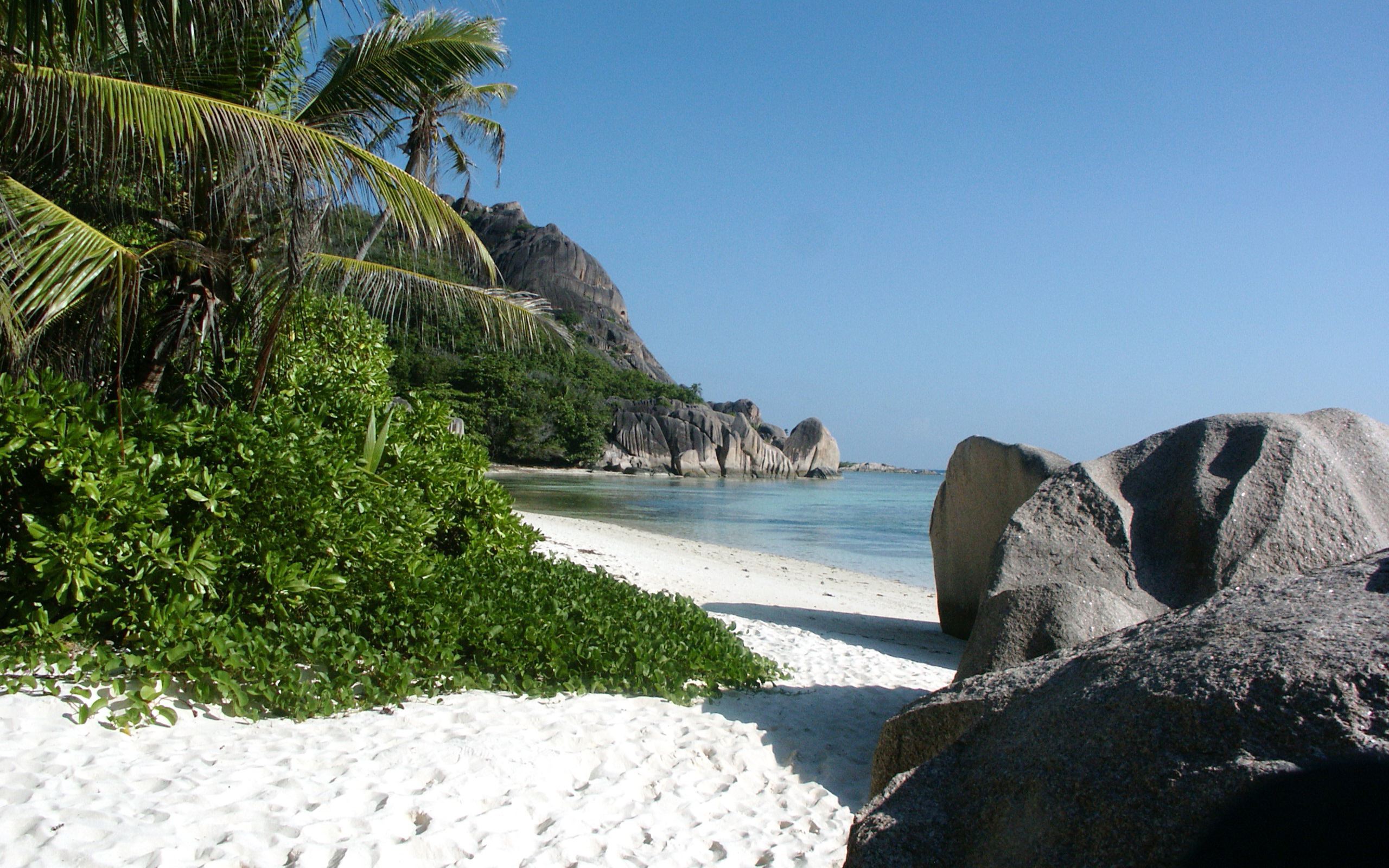 橙衣防线铸就钢铁长城,范戴克领衔,荷兰如何用唯一的战术击败葡萄牙