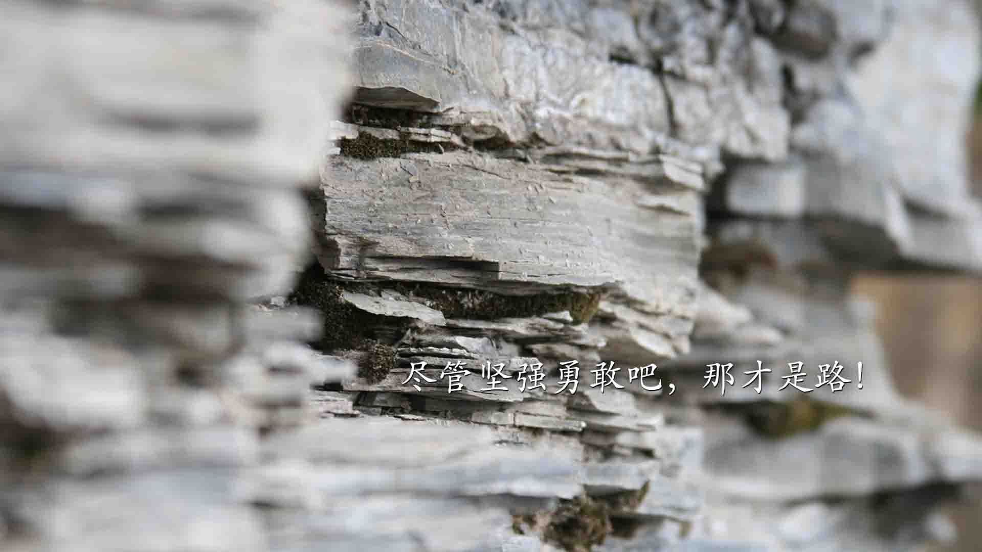 命运在补时转弯，罗马尼亚绝杀之夜，吉鲁老将逆龄，中场群狼锁死南美锋芒